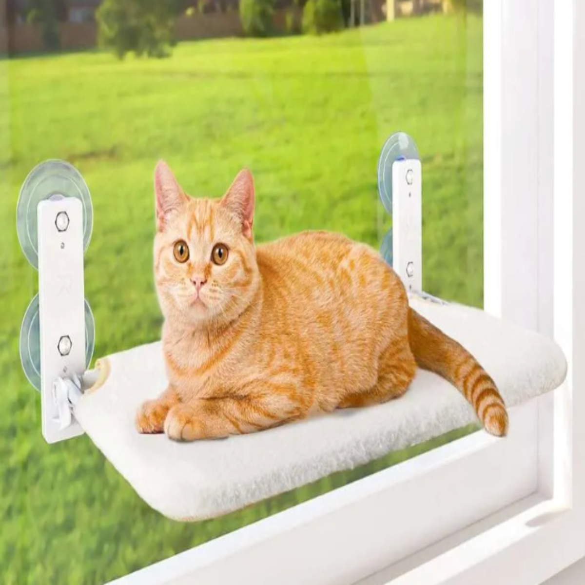 Foldable Cat Window Padded Perch – Cozy Space-Saving Cat Bed & Resting Seat