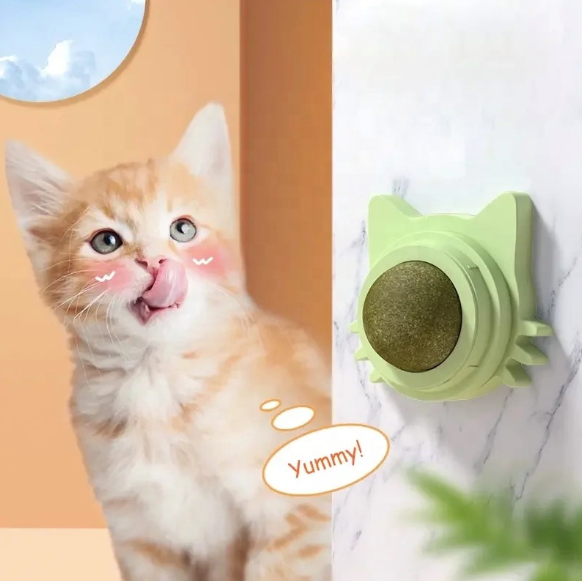 Catnip Wall-Mounted Treat Ball – Pack of 2 Interactive Cat Toy & Feeding Ball